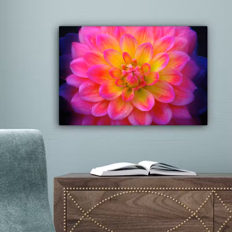 Roze - Dahlia - Kleurrijk canvas 2cm klein -sfeer4