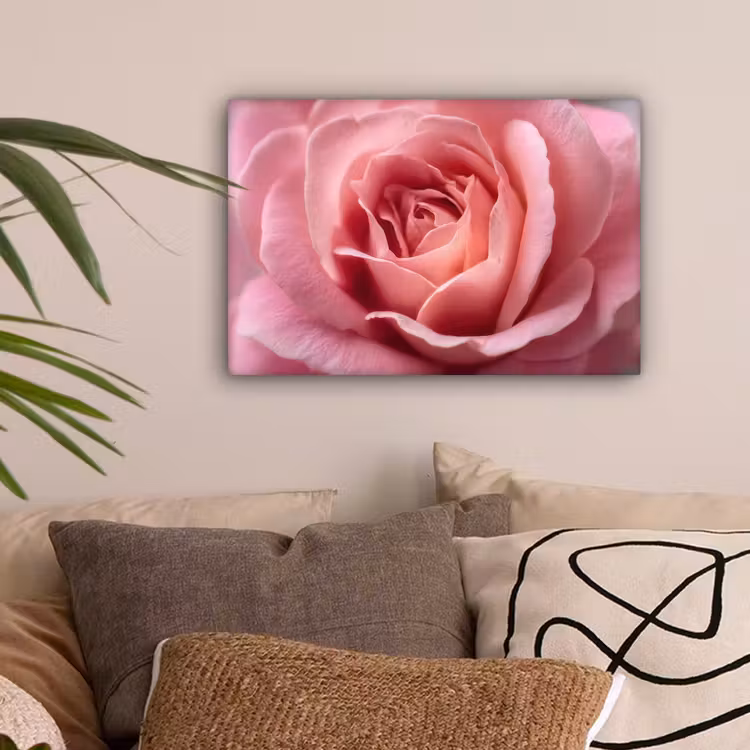 Roze - Roos - Romantisch canvas 2cm klein -sfeer1