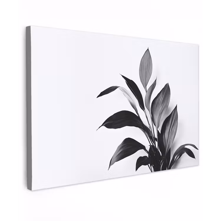 Plant - Bladeren - Minimalistisch - Zwart canvas 2cm klein -z3d