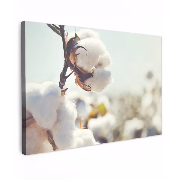 Planten - Bloem - Tak - Natuur canvas 2cm klein -z3d