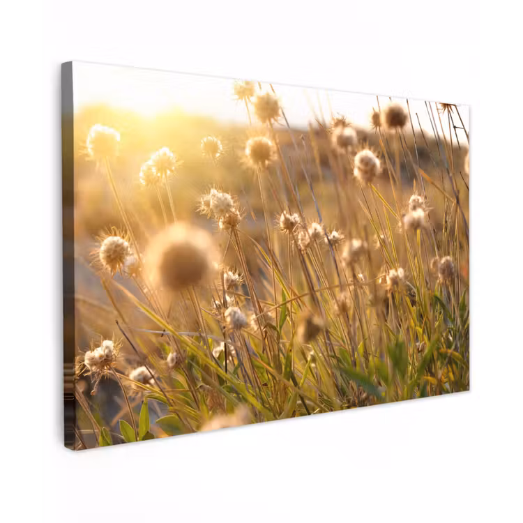 Planten - Natuur - Bloemen - Zon - Horizon canvas 2cm klein -z3d