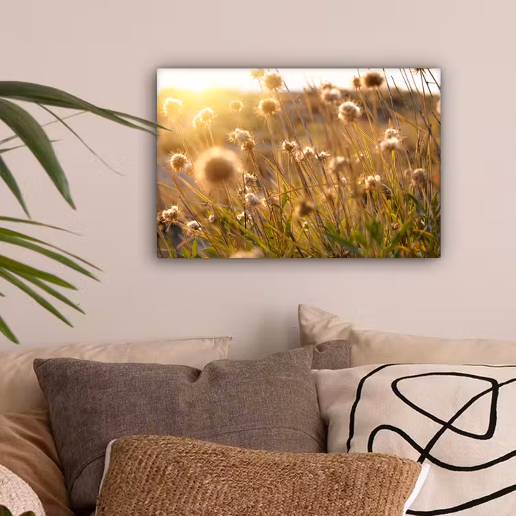 Planten - Natuur - Bloemen - Zon - Horizon canvas 2cm klein -sfeer1