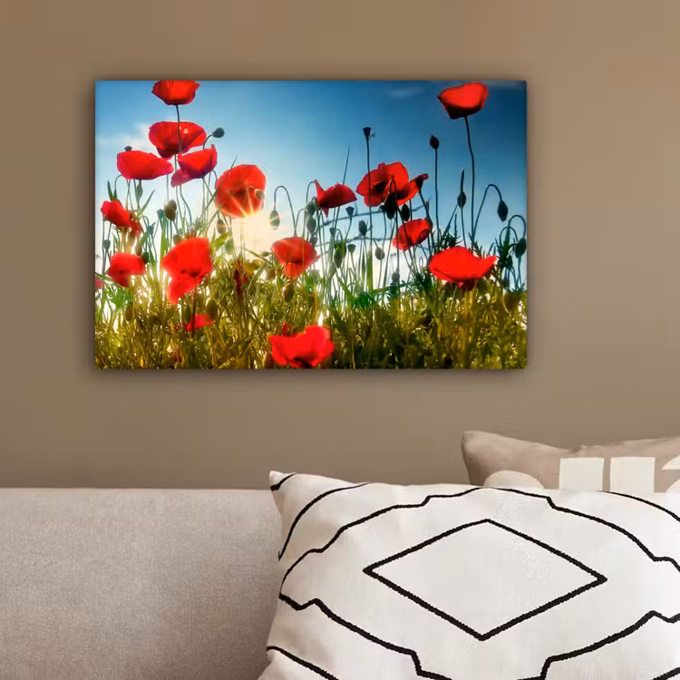 Klaprozen - Toscane - Zon - Rood - Blauw canvas 2cm klein -sfeer3