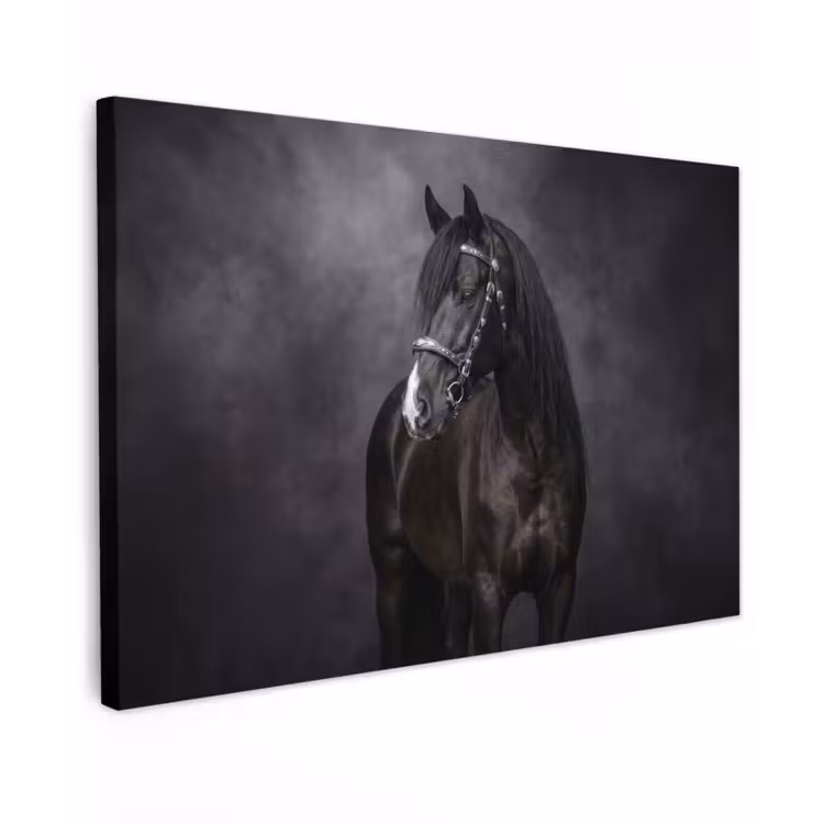 Portret - Paard - Zwart canvas 2cm klein -z3d