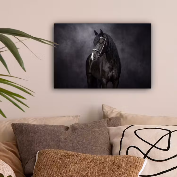Portret - Paard - Zwart canvas 2cm klein -sfeer1
