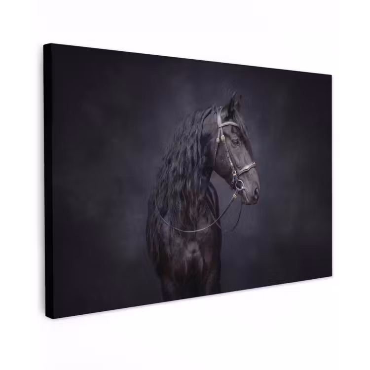 Portret - Paard - Donker canvas 2cm klein -z3d