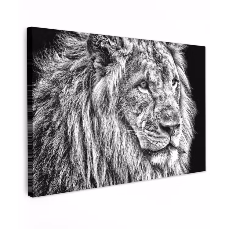 Portret - Leeuw - Zwart wit canvas 2cm klein -z3d