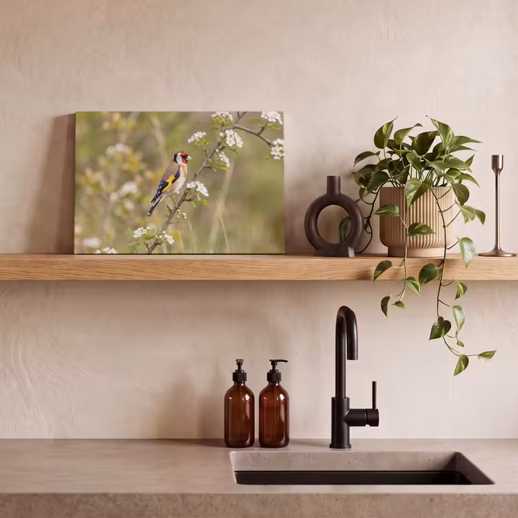 Putter - Bloesem - Lente - Natuur - Kleurrijk canvas 2cm klein -sfeer3