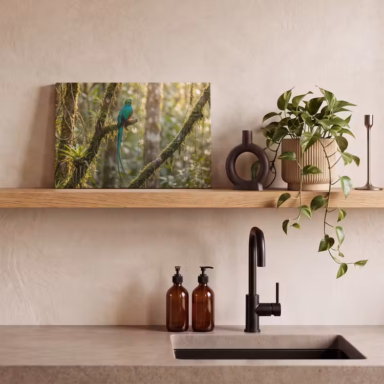 Quetzal - Jungle - Natuur - Groen canvas 2cm klein -sfeer3