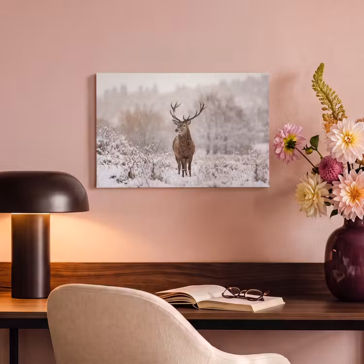 Edelhert - Bos - Sneeuw - Winter - Majestueus canvas 2cm klein -sfeer4