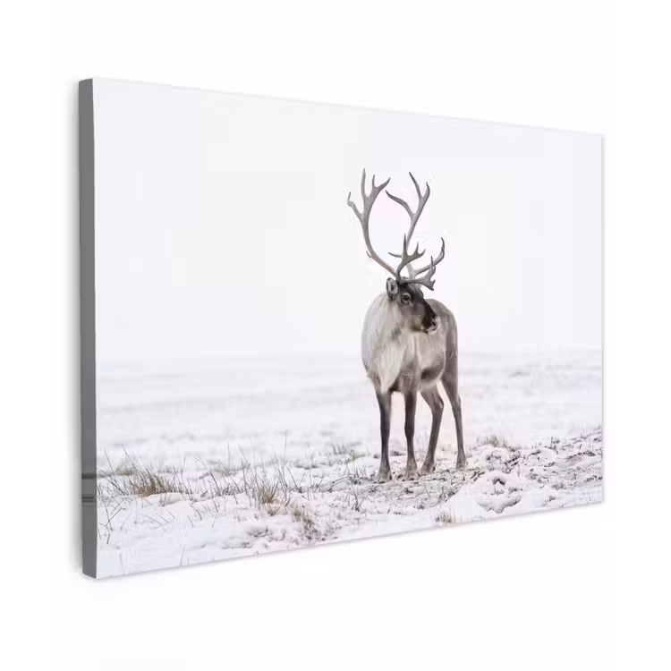Rendier - Gewei - Sneeuw - Winter canvas 2cm klein -z3d