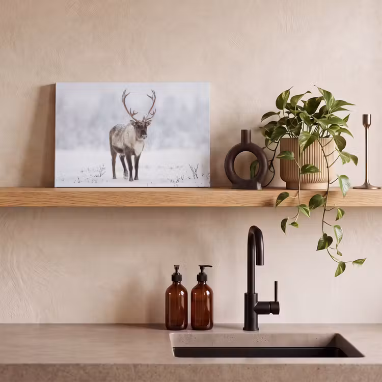 Rendier - Gewei - Toendra - Sneeuw - Wild canvas 2cm klein -sfeer3