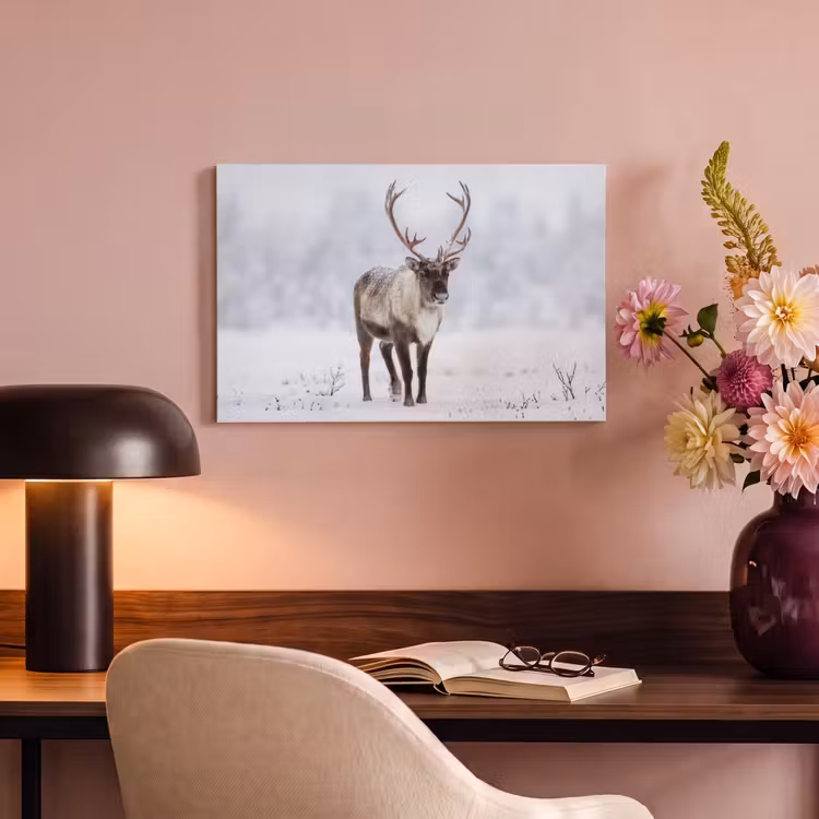 Rendier - Gewei - Toendra - Sneeuw - Wild canvas 2cm klein -sfeer4