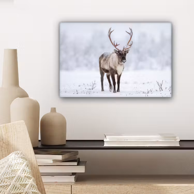 Rendier - Gewei - Toendra - Sneeuw - Wild canvas 2cm klein -sfeer6