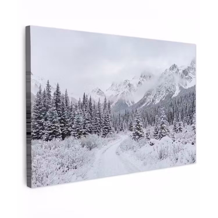 Weg - Bergen - Sneeuw - Naaldbos - Avontuurlijk canvas 2cm klein -z3d