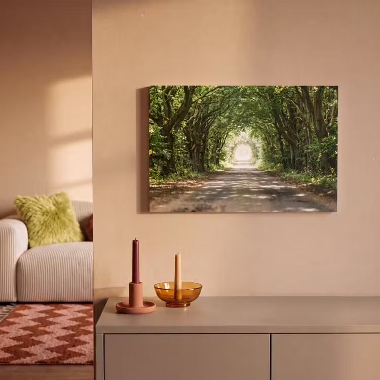 Weg - Bomen - Natuur - Groen canvas 2cm klein -sfeer1