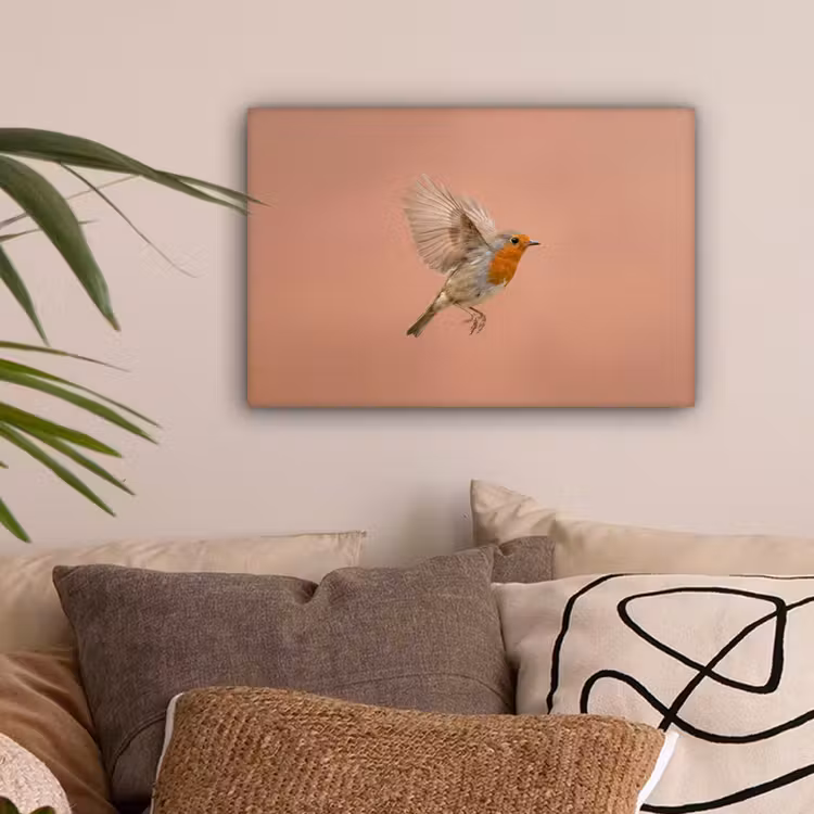 Roodborst - Natuur - Roze canvas 2cm klein -sfeer1
