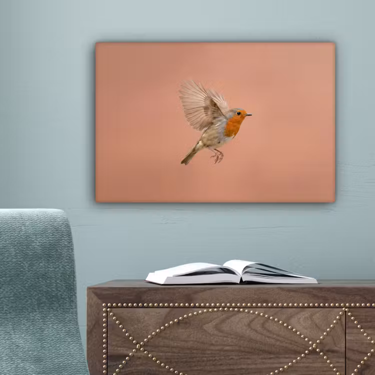 Roodborst - Natuur - Roze canvas 2cm klein -sfeer4
