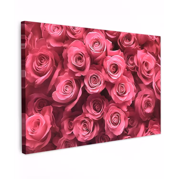 Rozen - Pink - Bloem canvas 2cm klein -z3d