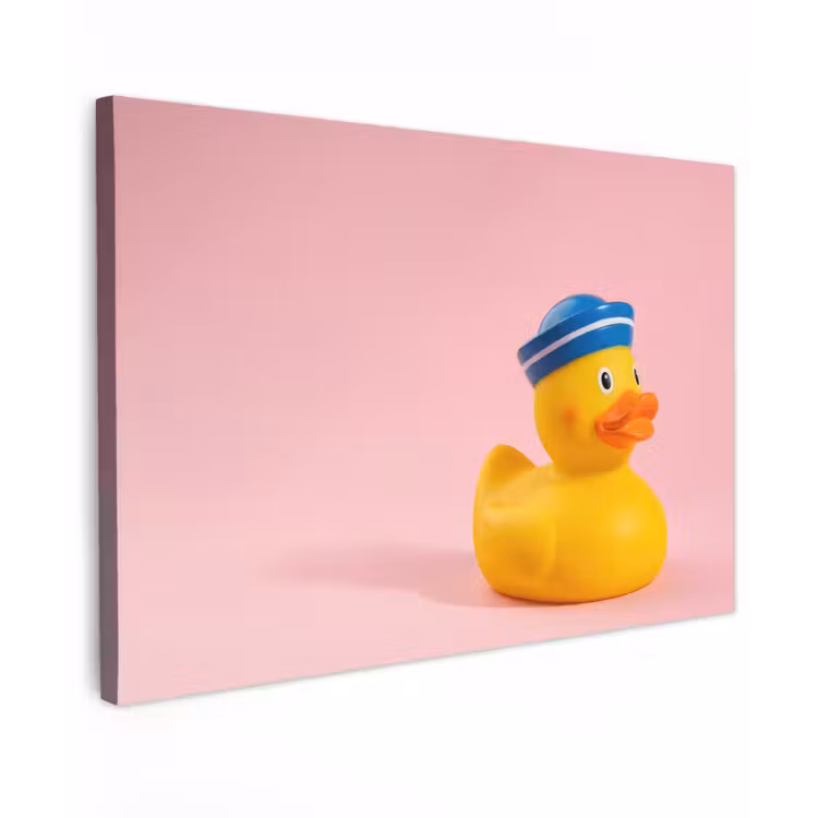 Matroos - Eend - Roze canvas 2cm klein -z3d