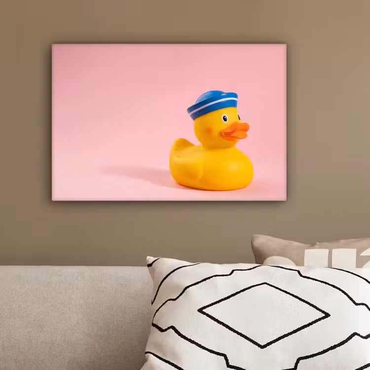 Matroos - Eend - Roze canvas 2cm klein -sfeer3