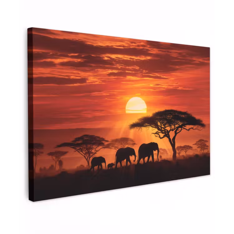 Savanne - Olifanten - Zonsondergang canvas 2cm klein -z3d