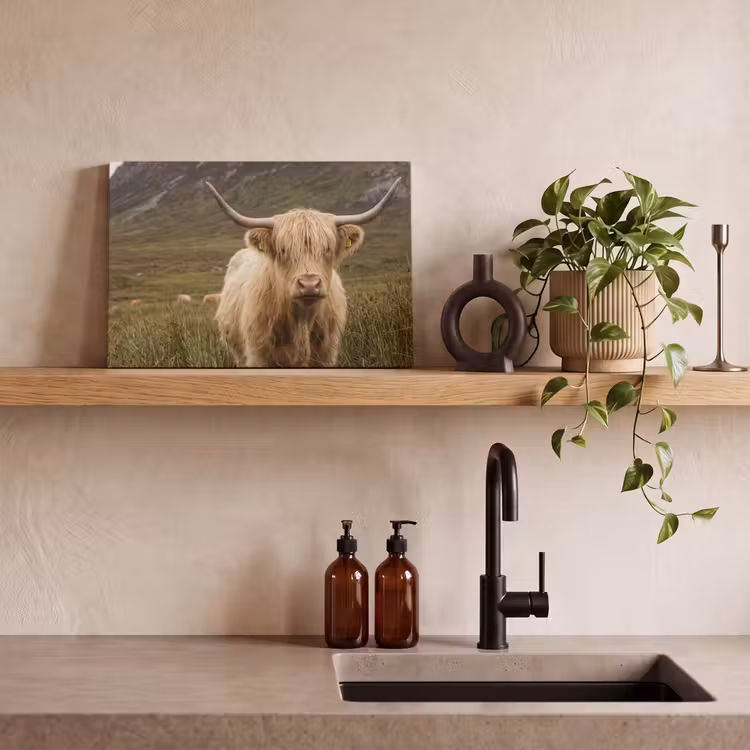Schotse hooglander - Bergen - Grasveld canvas 2cm klein -sfeer3