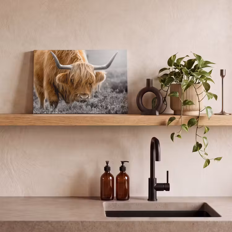 Schotse Hooglander - Dieren - Bruin - Koe - Zwart - Wit - Natuur canvas 2cm klein -sfeer3