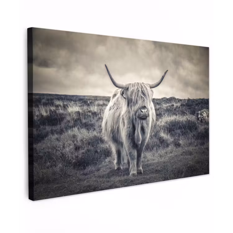 Schotse hooglander - Dieren - Wolken - Koe - Natuur canvas 2cm klein -z3d