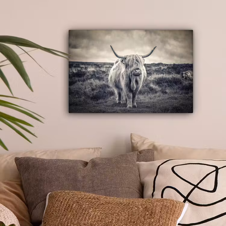 Schotse hooglander - Dieren - Wolken - Koe - Natuur canvas 2cm klein -sfeer1