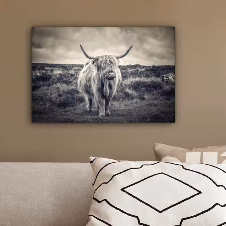 Schotse hooglander - Dieren - Wolken - Koe - Natuur canvas 2cm klein -sfeer3