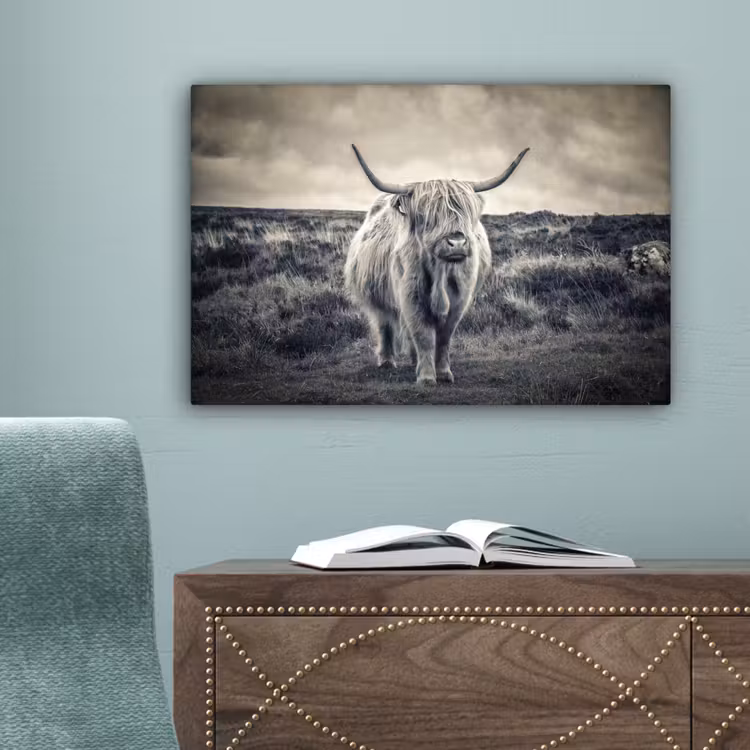 Schotse hooglander - Dieren - Wolken - Koe - Natuur canvas 2cm klein -sfeer4