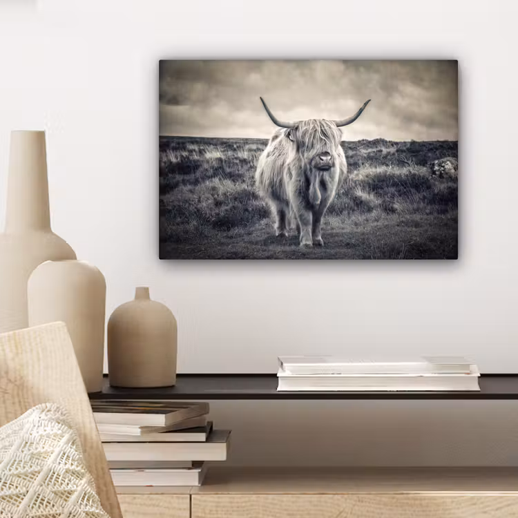 Schotse hooglander - Dieren - Wolken - Koe - Natuur canvas 2cm klein -sfeer6