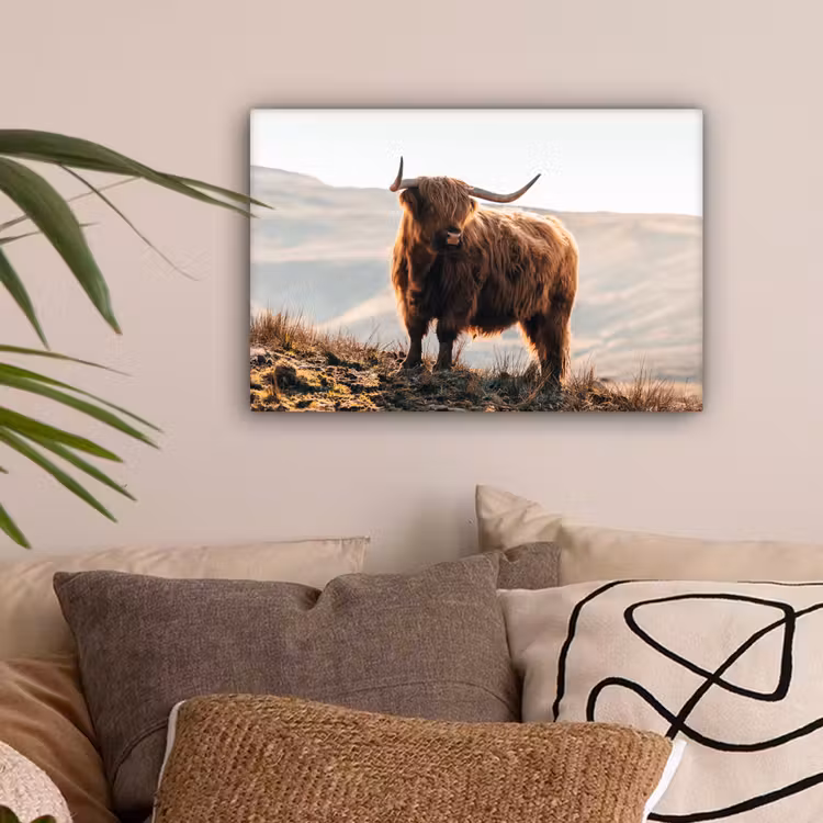 Schotse hooglander - Dieren - Landelijk - Landschap - Koe - Natuur canvas 2cm klein -sfeer1