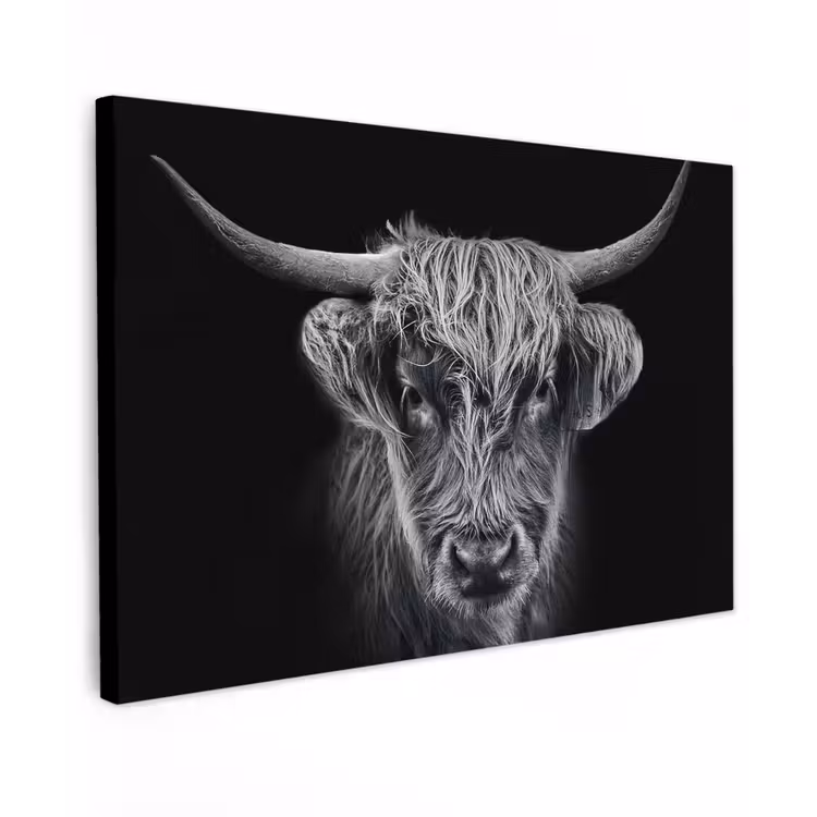 Schotse hooglander - Zwart - Koe - Dieren canvas 2cm klein -z3d