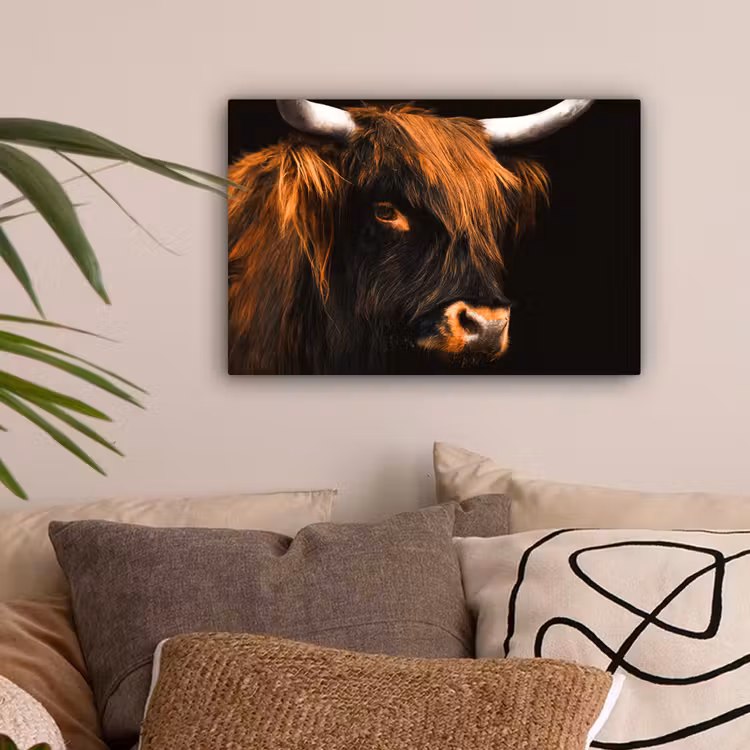Schotse hooglander - Zwart - Koe - Hoorn - Dieren canvas 2cm klein -sfeer1