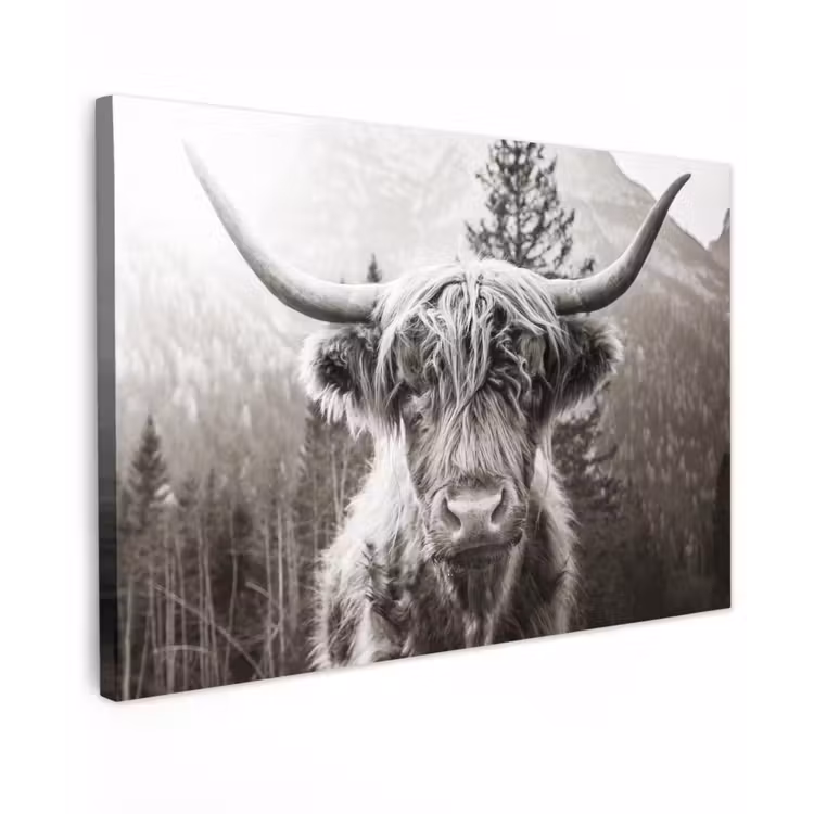 Schotse hooglander - Koe - Dieren - Zwart - Wit canvas 2cm klein -z3d