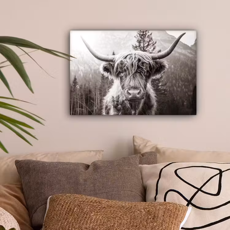 Schotse hooglander - Koe - Dieren - Zwart - Wit canvas 2cm klein -sfeer1