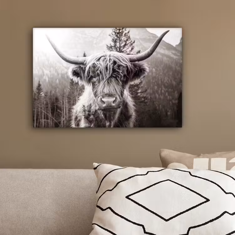 Schotse hooglander - Koe - Dieren - Zwart - Wit canvas 2cm klein -sfeer3