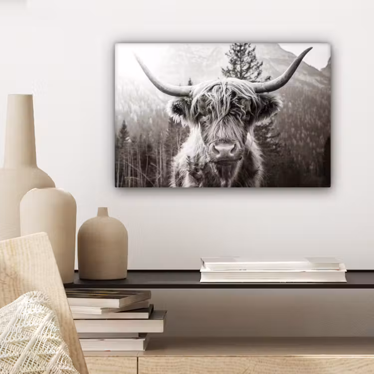 Schotse hooglander - Koe - Dieren - Zwart - Wit canvas 2cm klein -sfeer6
