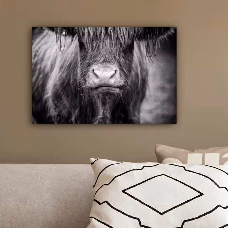Schotse hooglander - Koe - Zwart - Wit - Dieren canvas 2cm klein -sfeer3