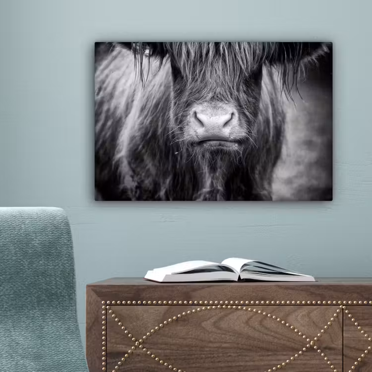 Schotse hooglander - Koe - Zwart - Wit - Dieren canvas 2cm klein -sfeer4