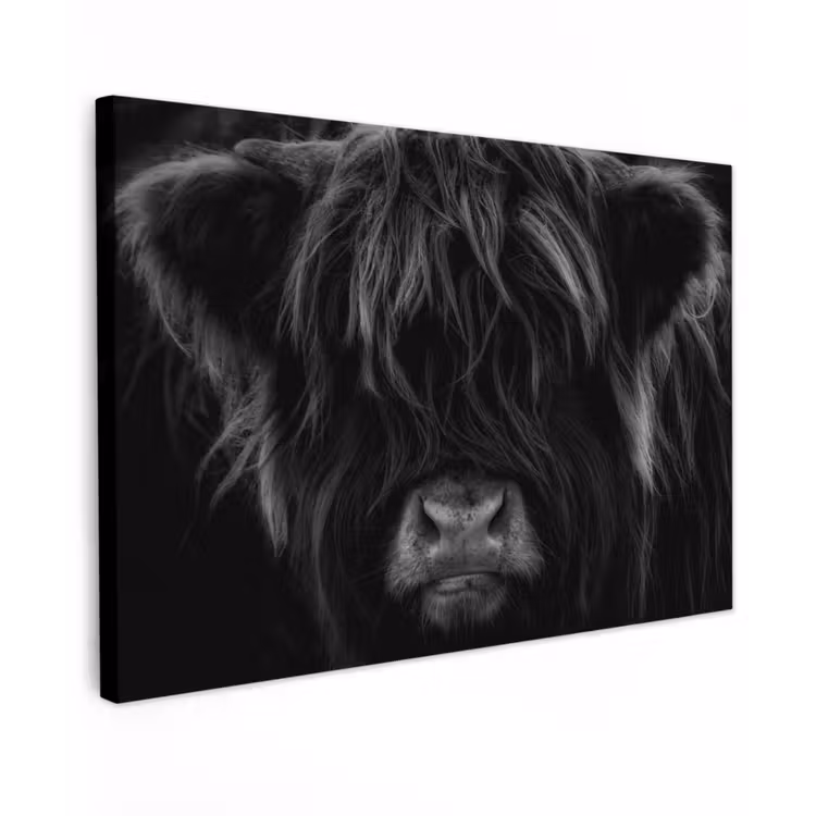 Schotse hooglander - Koe - Zwart - Wit - Dieren canvas 2cm klein -z3d