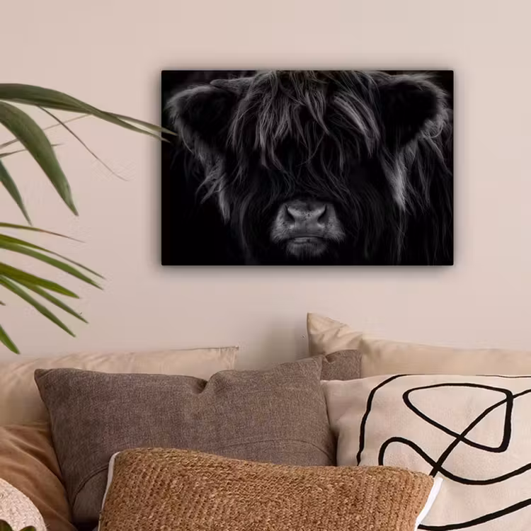 Schotse hooglander - Koe - Zwart - Wit - Dieren canvas 2cm klein -sfeer1