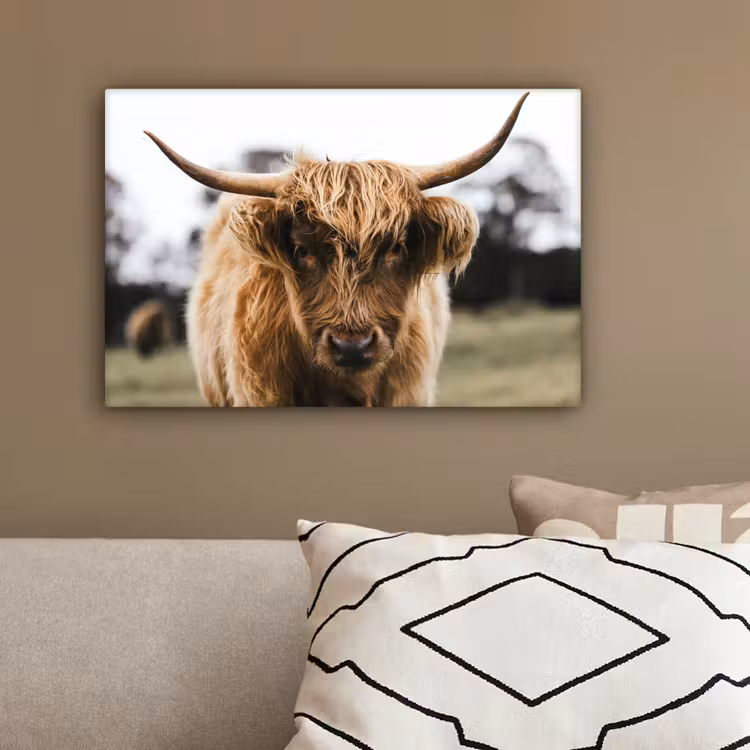 Schotse Hooglander - Koe - Gras - Dieren - Natuur canvas 2cm klein -sfeer3