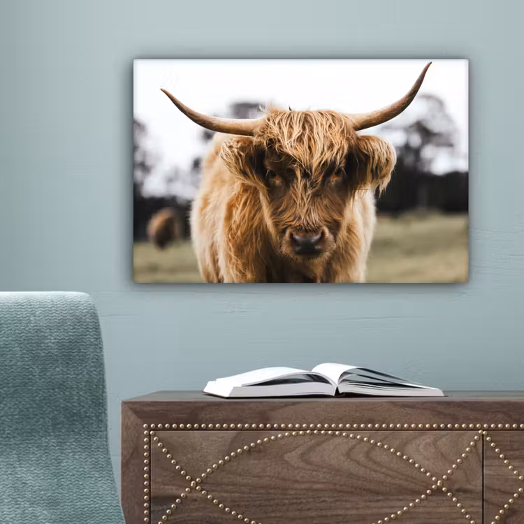 Schotse Hooglander - Koe - Gras - Dieren - Natuur canvas 2cm klein -sfeer4