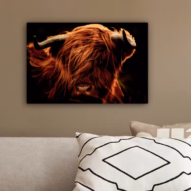 Schotse hooglander - Koe - Hoorns - Portret - Dieren canvas 2cm klein -sfeer3