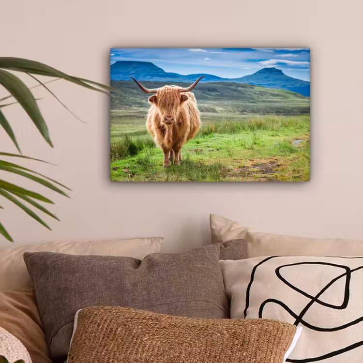 Schotse hooglander - Koe - Natuur - Berg - Gras canvas 2cm klein -sfeer1