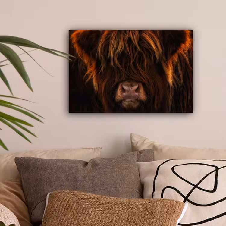 Schotse Hooglander - Koe - Portret - Dieren canvas 2cm klein -sfeer1