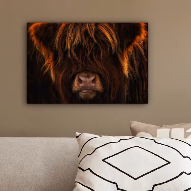 Schotse Hooglander - Koe - Portret - Dieren canvas 2cm klein -sfeer3
